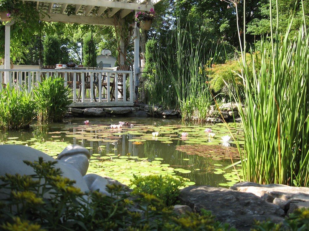 Carrousel Bed & Breakfast Cayuga Exteriör bild