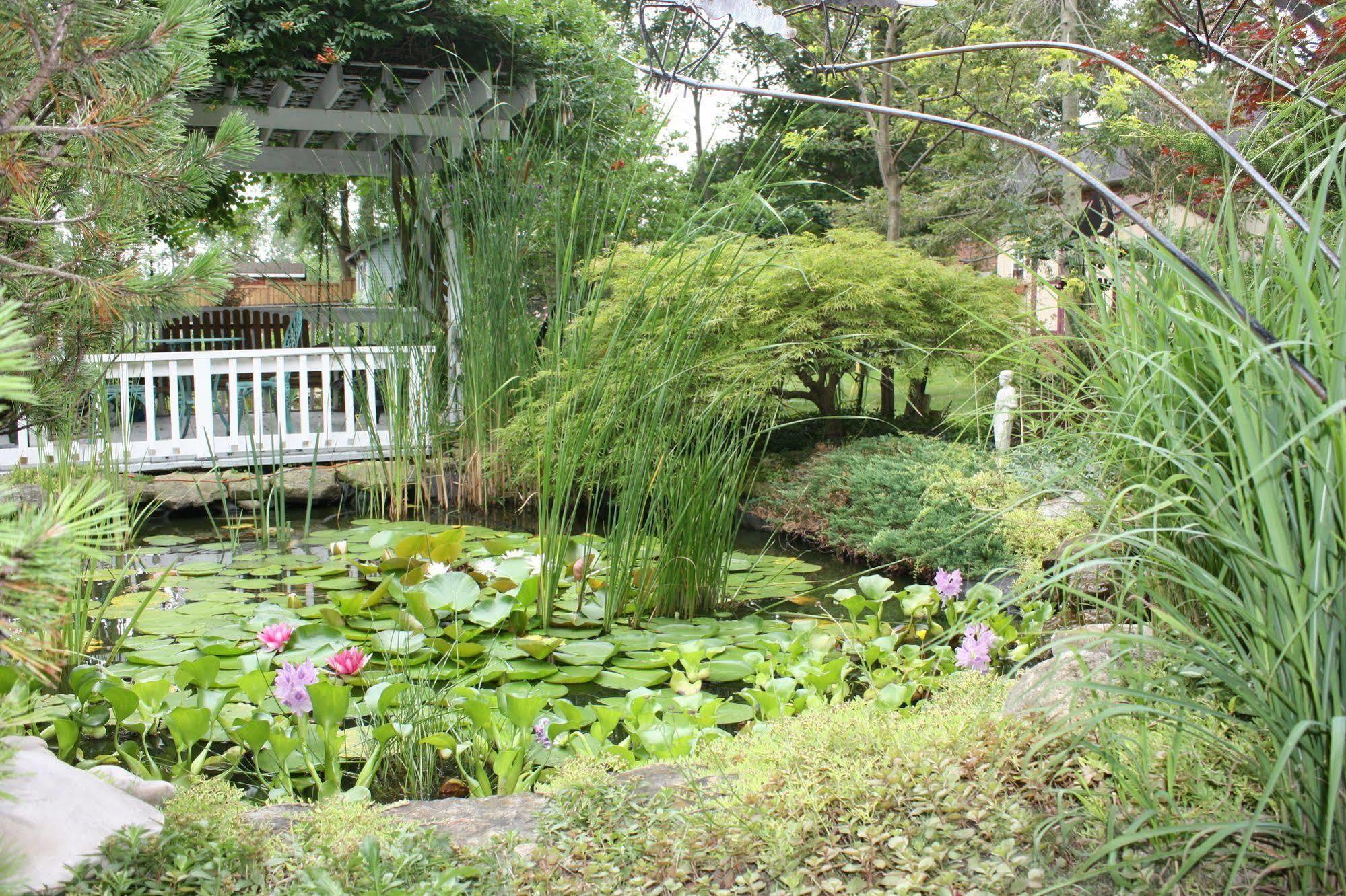 Carrousel Bed & Breakfast Cayuga Exteriör bild